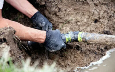 Septic Stress Signals: Time to Call the Septic Drainfield Repair Pros